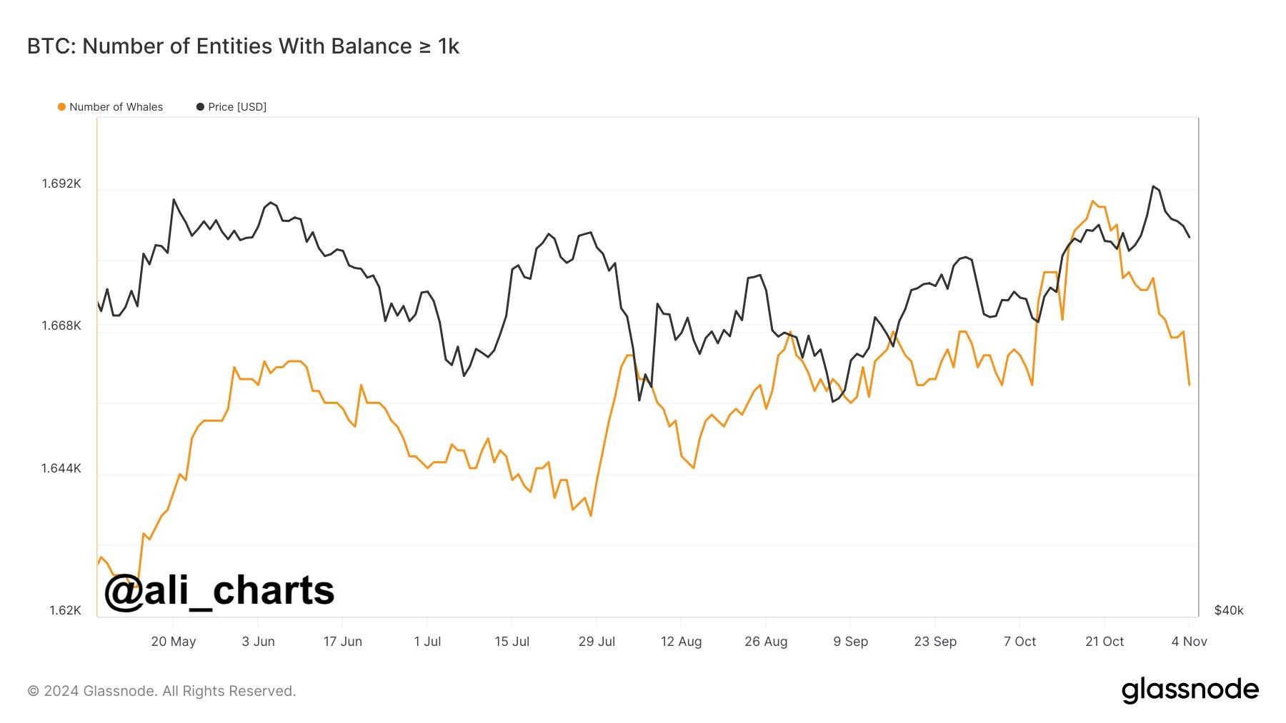 数据：美国大选前持有超 1000 枚 BTC 的地址数量减少了 2%