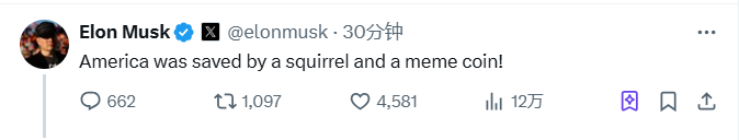 马斯克：美国被一只松鼠和一个 meme 币拯救
