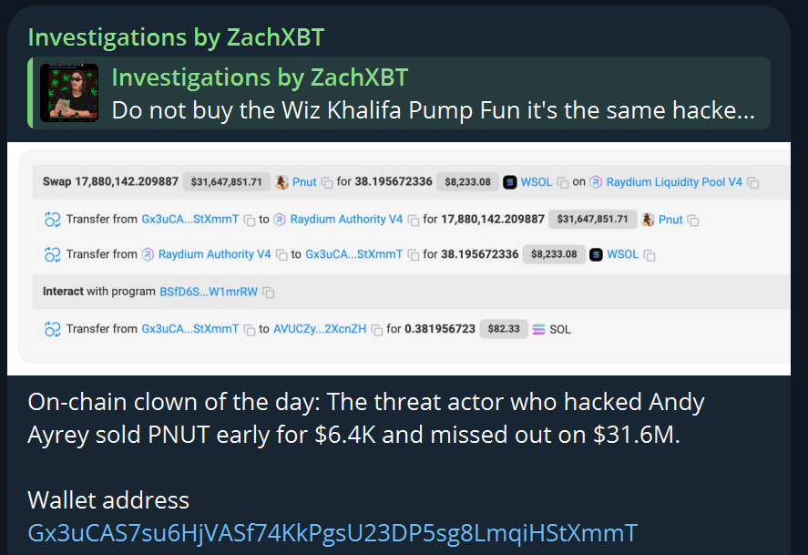 某黑客提前抛售 PNUT 错失 3160 万美元利润，仅获利 6400 美元