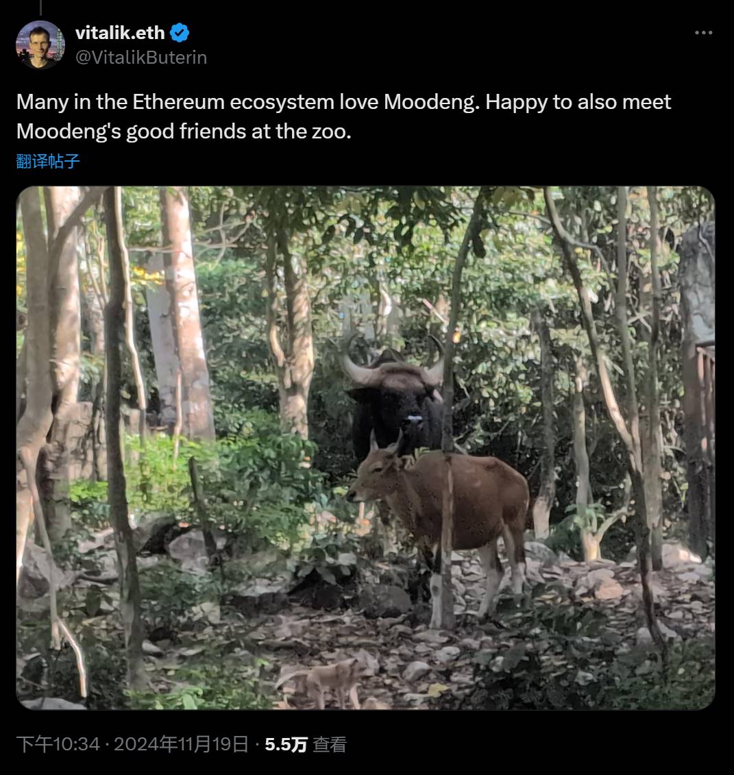 Vitalik 发文提及“Moodeng”