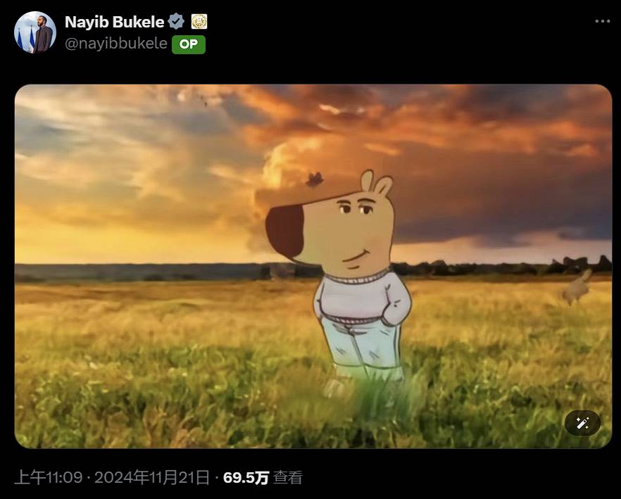 萨尔瓦多总统发布 CHILLGUY 主题图片，CHILL 市值短线突破 5 亿美元