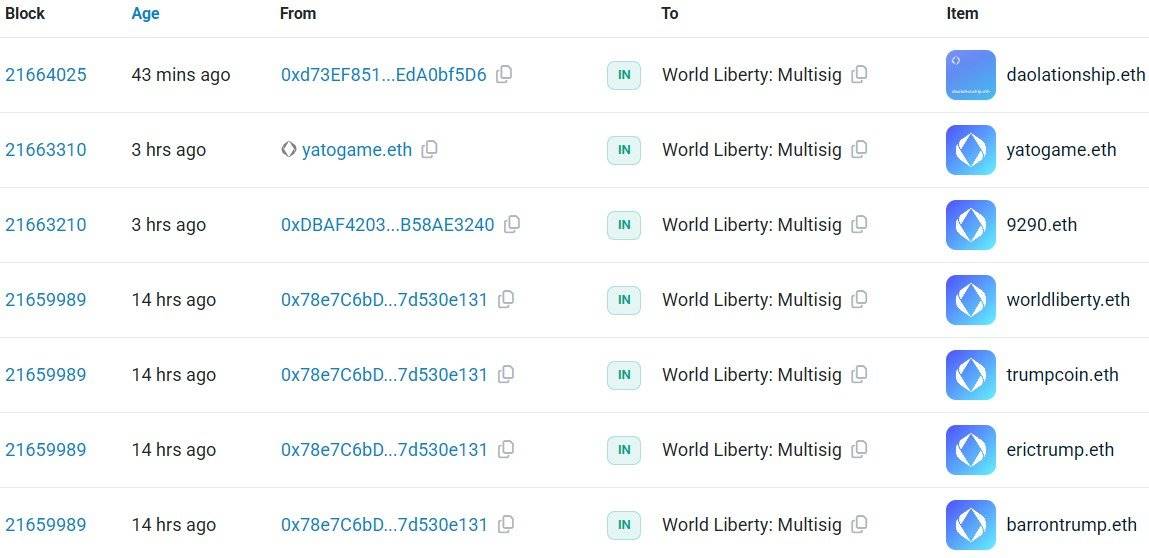 WLFI 再次买入域名 daolationship.eth
