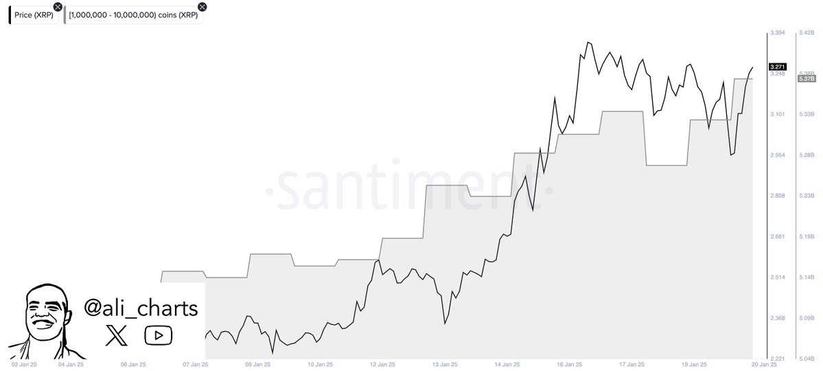 某鲸鱼在 48 小时内买入超 1 亿枚 XRP