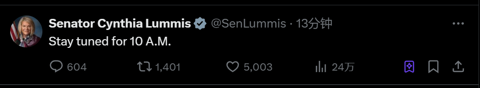 美参议员 Cynthia 暗示将于美东时间上午10点宣布与比特币相关重大消息
