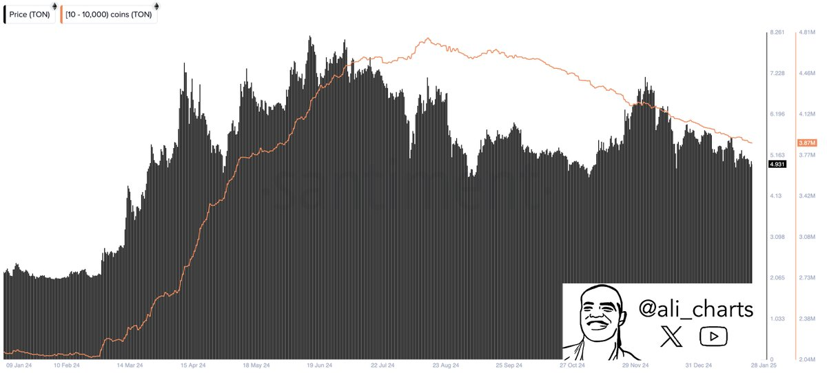 数据：自 Telegram CEO 被捕后，投资者已抛售超 89 万枚 TON