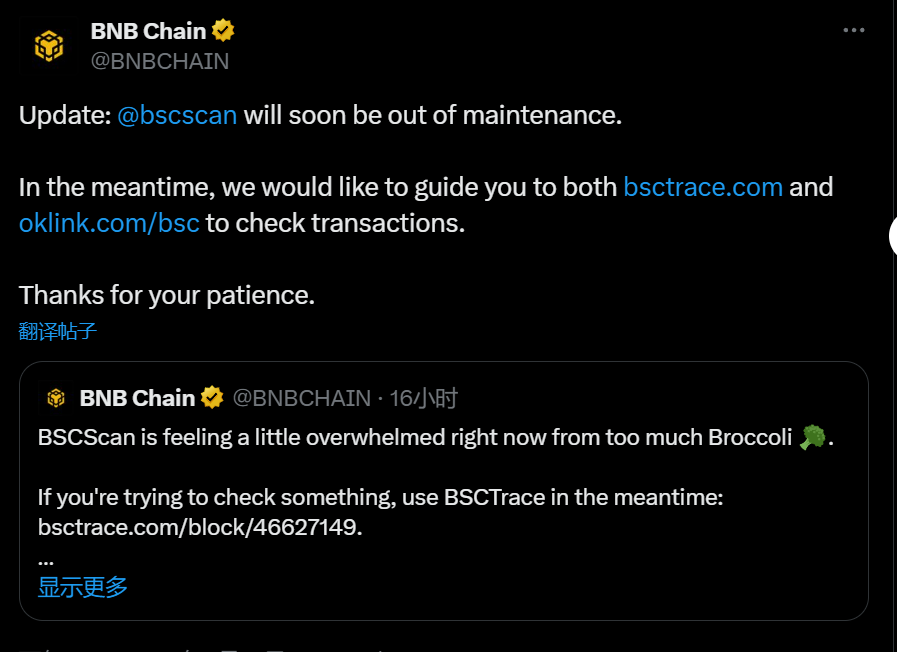 BSCScan 因 Broccoli 代币交易量激增暂时进入维护状态