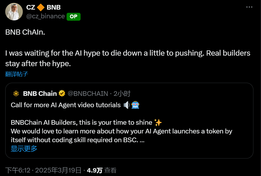 CZ：一直在等待 AI 炒作稍微冷却后再来推动建设