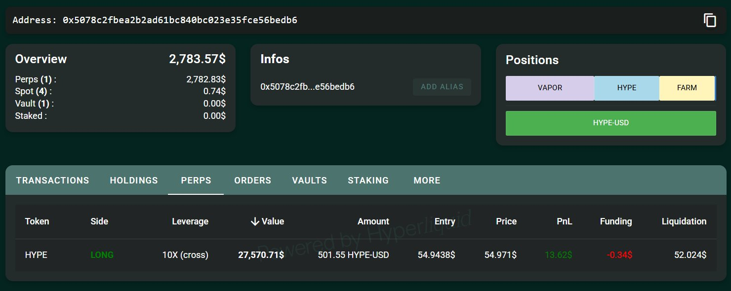 James Wynn 遭清算后再次开启 HYPE 10 倍杠杆多头仓位