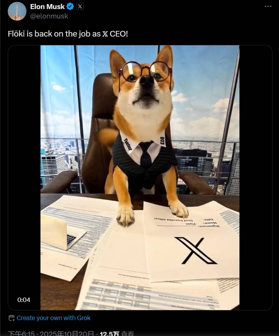 马斯克：Flōki重新“出任” X 平台 CEO