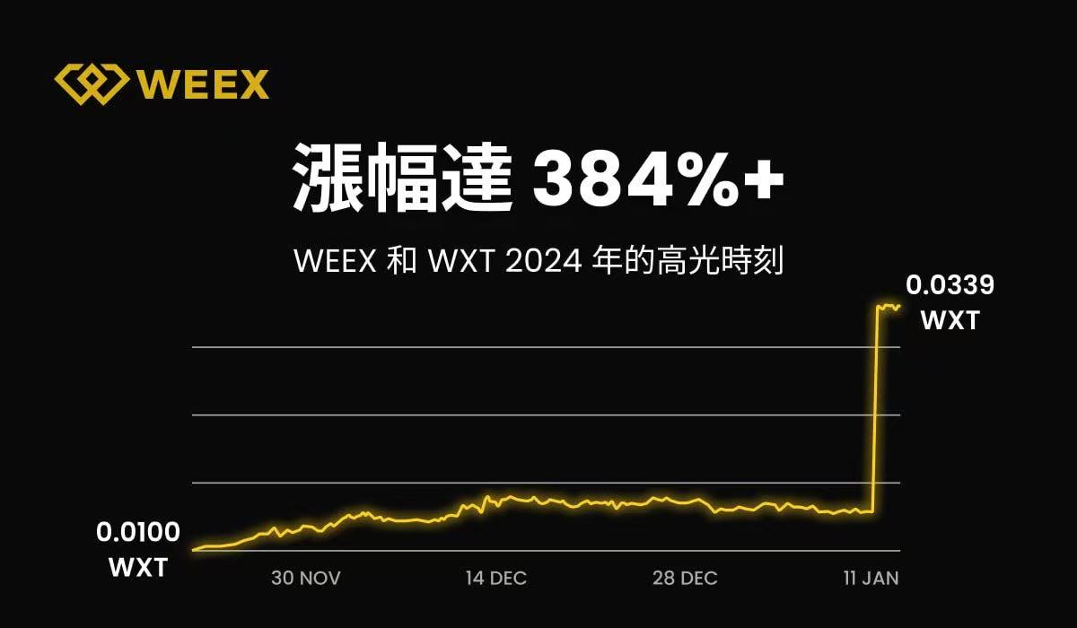 WEEX 2024年度报告：用户突破500万，日均交易额超50亿美元