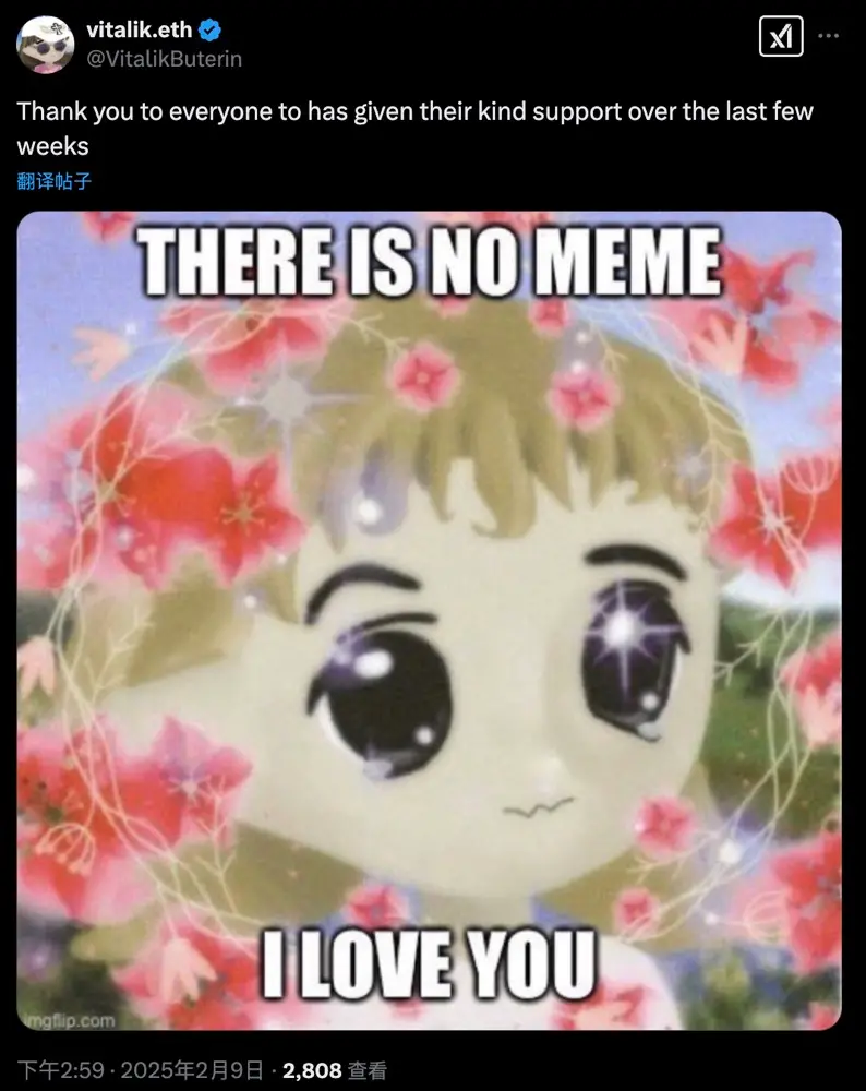 Vitalik 发文配图：“THERE IS NO MEME”