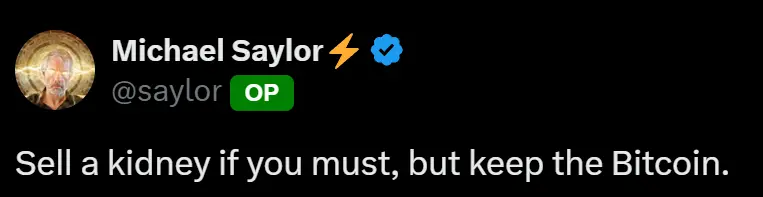 Michael Saylor：即使卖掉一个肾也要保住比特币