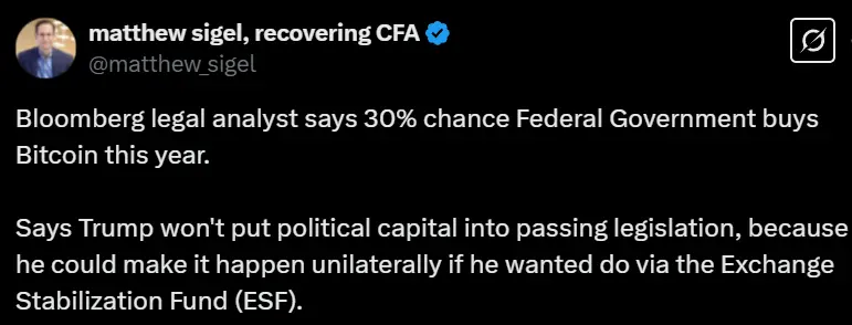 彭博分析师：2025 年美国政府购买比特币的可能性仅为 30%