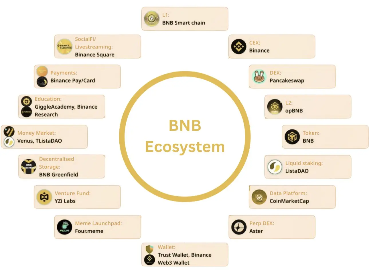 YZi Labs 重磅报告：BNB 的定位、经济模型与核心竞争力